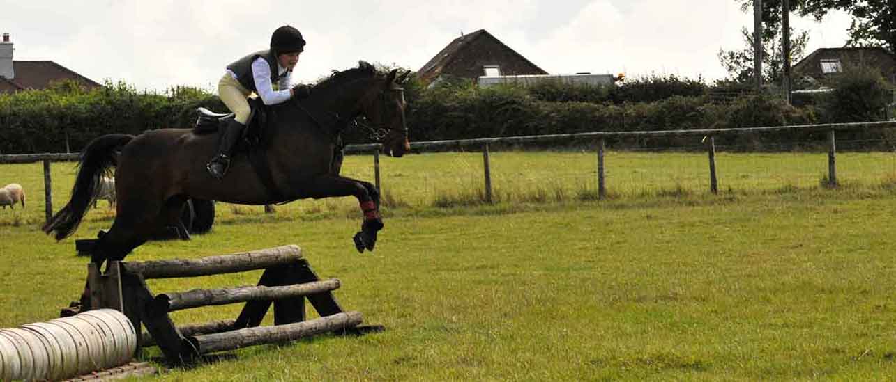 Contact South Devon West Pony Club Contact South Devon West Pony Club