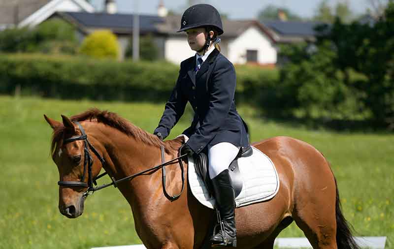 Pony Club Dressage Pony Club Dressage